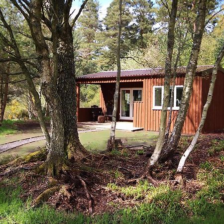 The Cabin At Easter Arr Auldearn Bagian luar foto