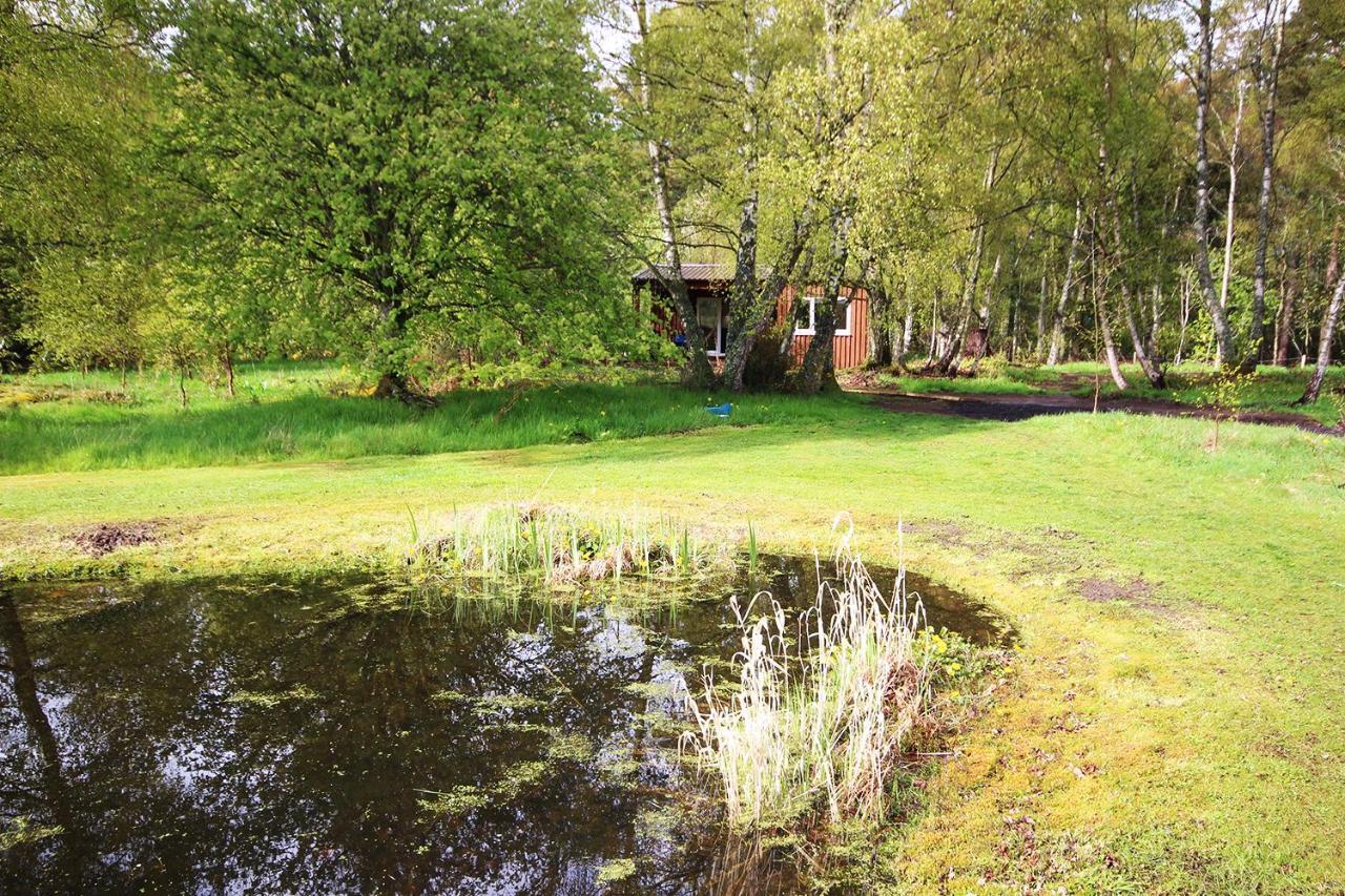 The Cabin At Easter Arr Auldearn Bagian luar foto