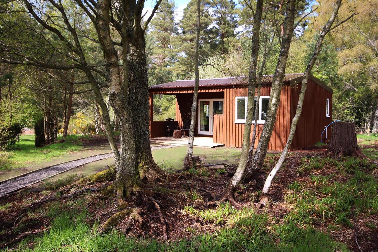 The Cabin At Easter Arr Auldearn Bagian luar foto